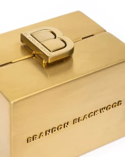 Mini Metal Minaudière