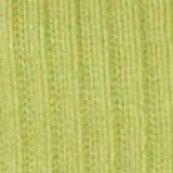 Ribbed High Waist Short