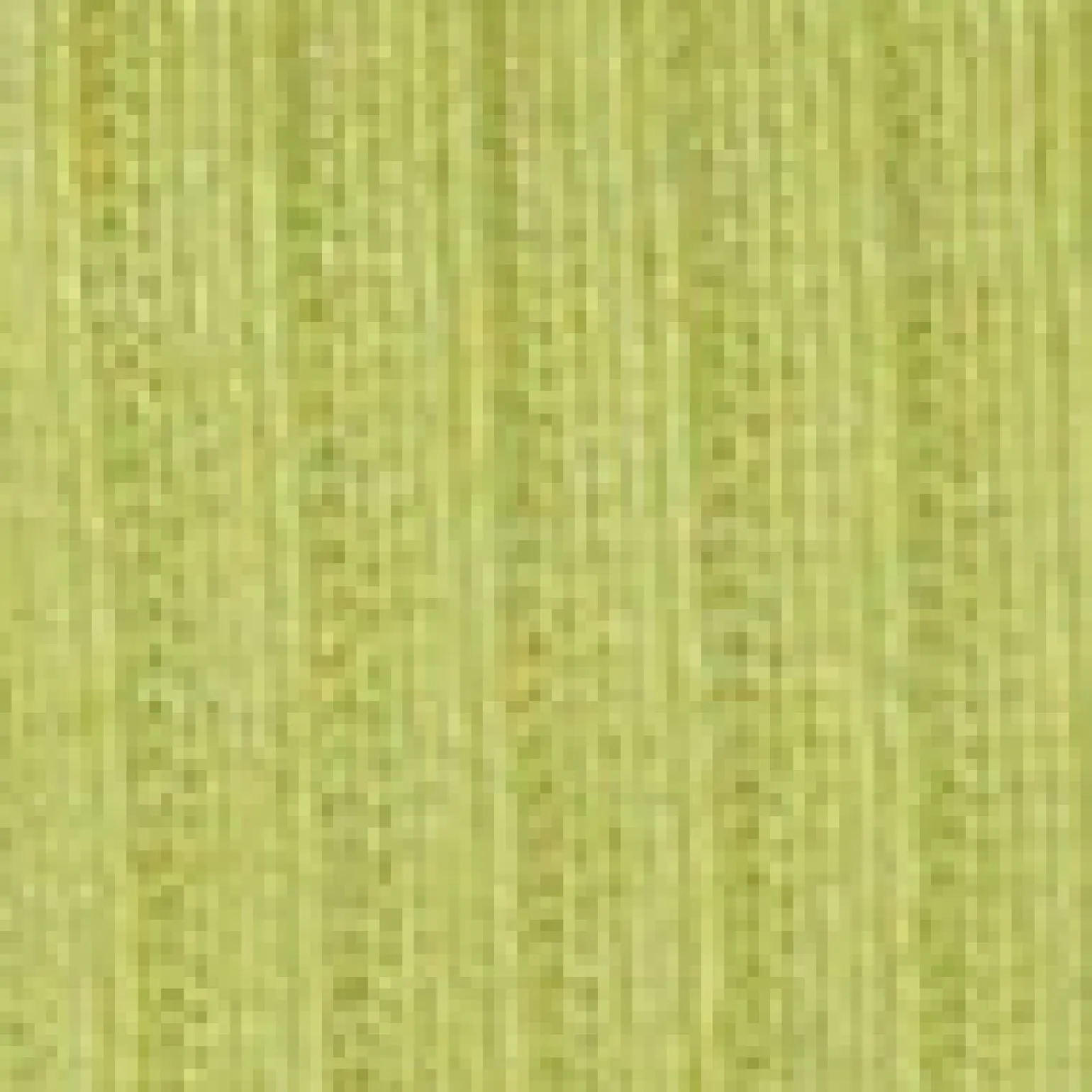 Ribbed High Waist Short